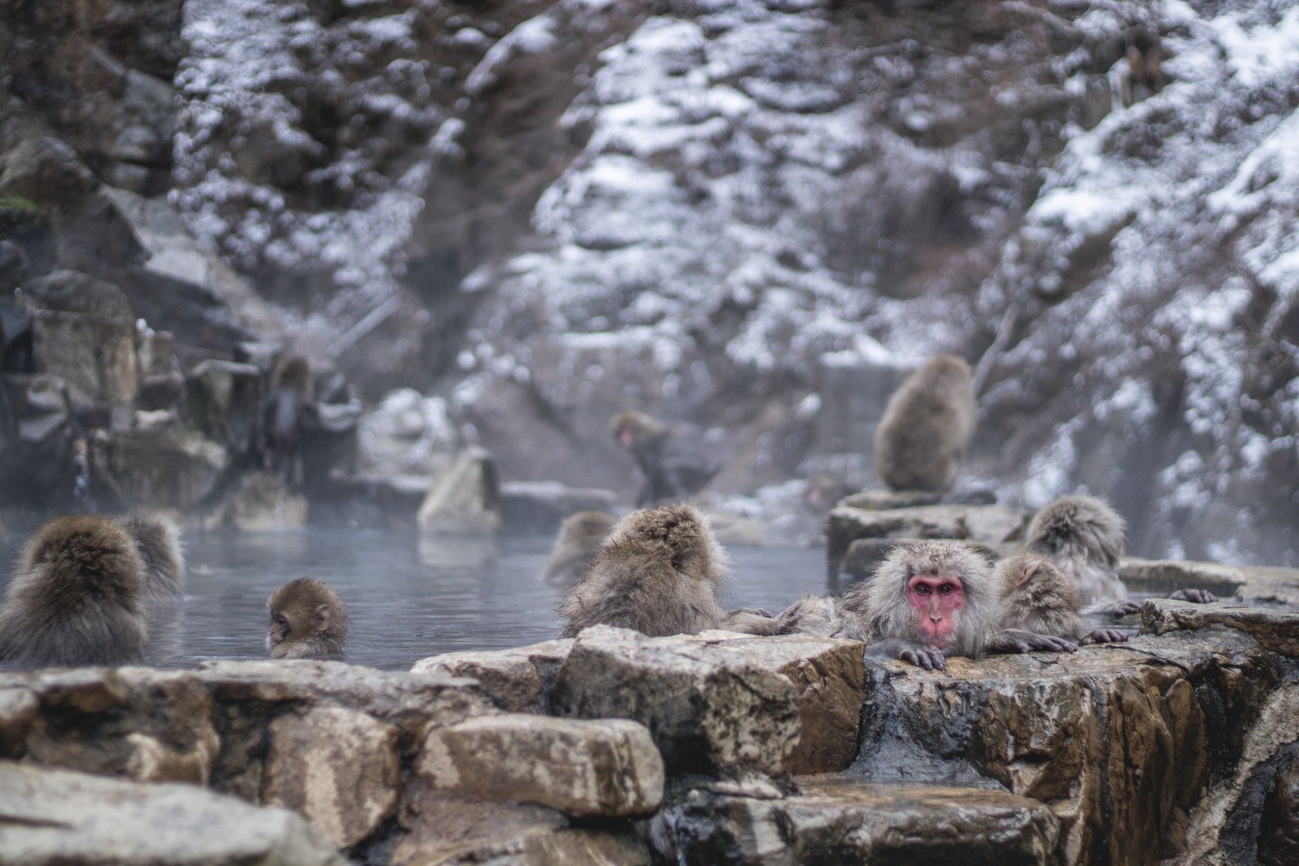 岩手県のサウナ・温泉イメージ